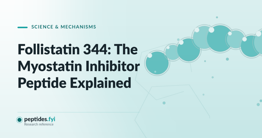 Featured graphic for the peptides.fyi article "Follistatin 344: The Myostatin Inhibitor Peptide Explained" — abstract molecular and peptide-chain illustration.
