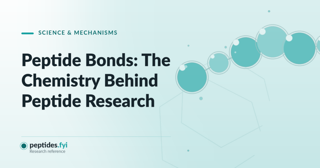 Featured graphic for the peptides.fyi article "Peptide Bonds: The Chemistry Behind Peptide Research" — abstract molecular and peptide-chain illustration.