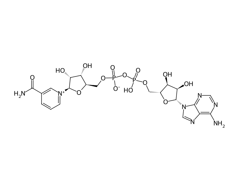 2D molecular structure of NAD+